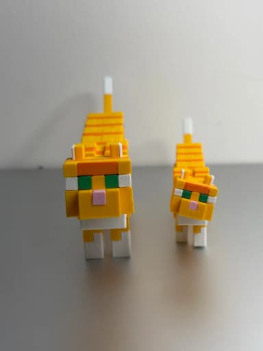 Mèo Cam Minecraft - Minecraft Cat 2