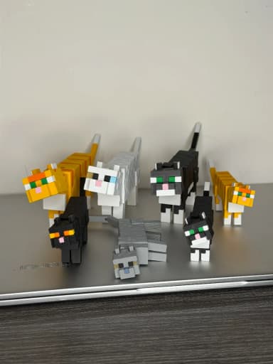 Mèo Cam Minecraft - Minecraft Cat 3