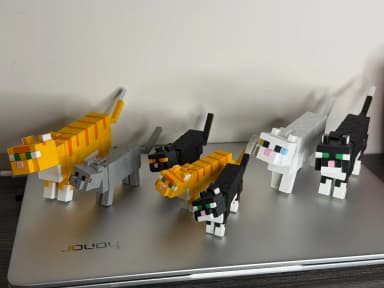 Mèo Trắng Minecraft 2